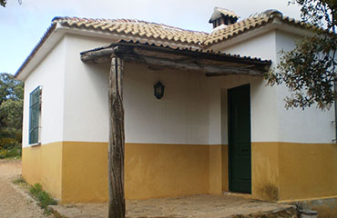 Bungalows del Camping Conejeras