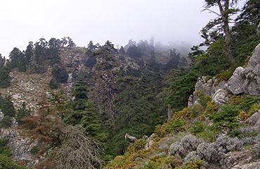 Entorno natural del Camping Conejeras