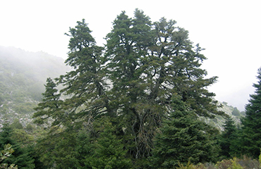 Entorno natural del Camping Conejeras