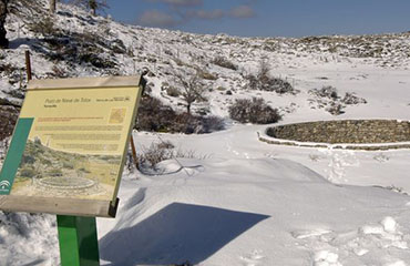 Entorno natural del Camping Conejeras