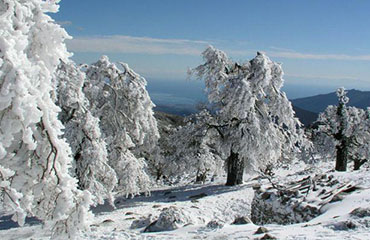 Entorno natural del Camping Conejeras
