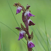 Entorno natural del Camping Conejeras