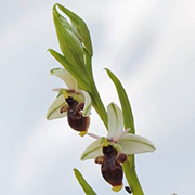 Entorno natural del Camping Conejeras