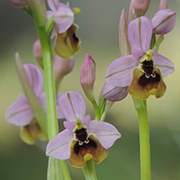 Entorno natural del Camping Conejeras