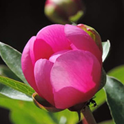 Entorno natural del Camping Conejeras