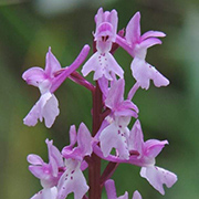 Entorno natural del Camping Conejeras