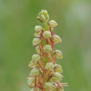 Entorno natural del Camping Conejeras