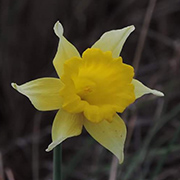 Entorno natural del Camping Conejeras