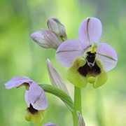 Entorno natural del Camping Conejeras