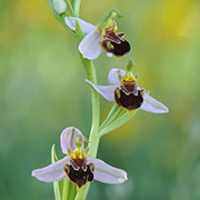 Entorno natural del Camping Conejeras