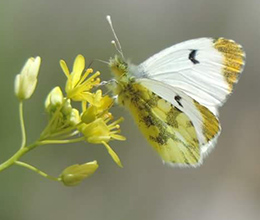 Entorno natural del Camping Conejeras